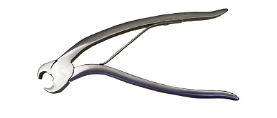 Equine Incisor and Canine Cutter